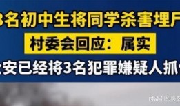 石家庄初中爆料案件最新,揭秘校园安全事件背后的真相