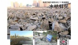 哈尔滨爆料最新消息,揭秘城市热点事件背后的真相