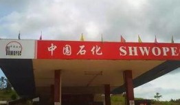 济宁加油站爆料事件最新