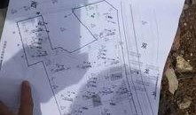 浙江楼市爆料网最新动态,揭秘房价走势与政策动向