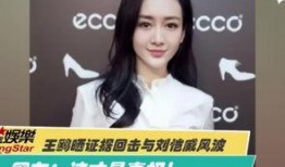 谁爆料的王佳颖视频最新,揭秘背后真相与网络舆论风暴